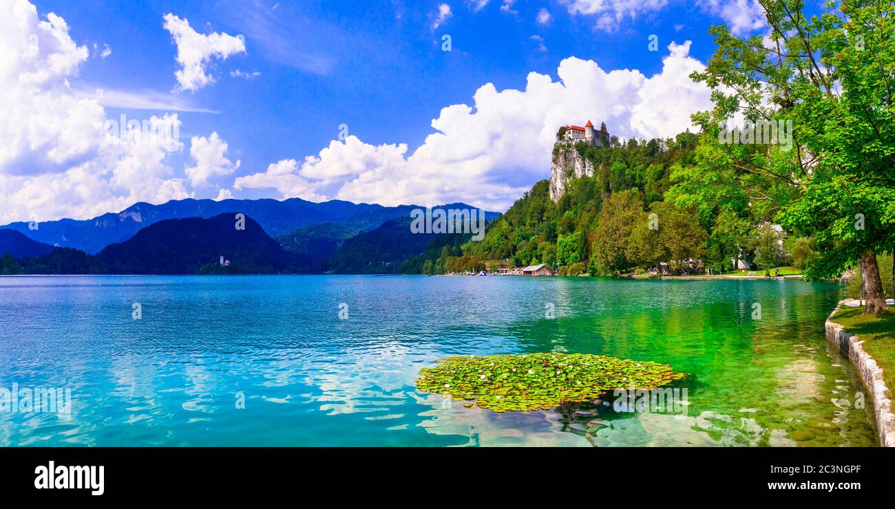 Magnifique lac Bled en Slovénie - l'un des plus beaux d'Europe Banque D'Images