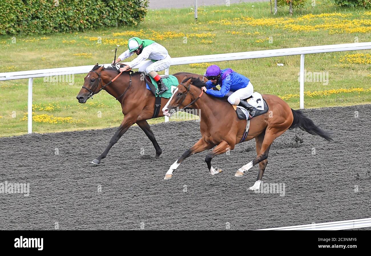 (R) Palavechino (Martin Dwyer) gagnant de la place Unibet Extra offre chaque jour des mises handicap de (L) Emirates Knight (Andrea Atzeni) à l'hippodrome de Kempton Park. Banque D'Images