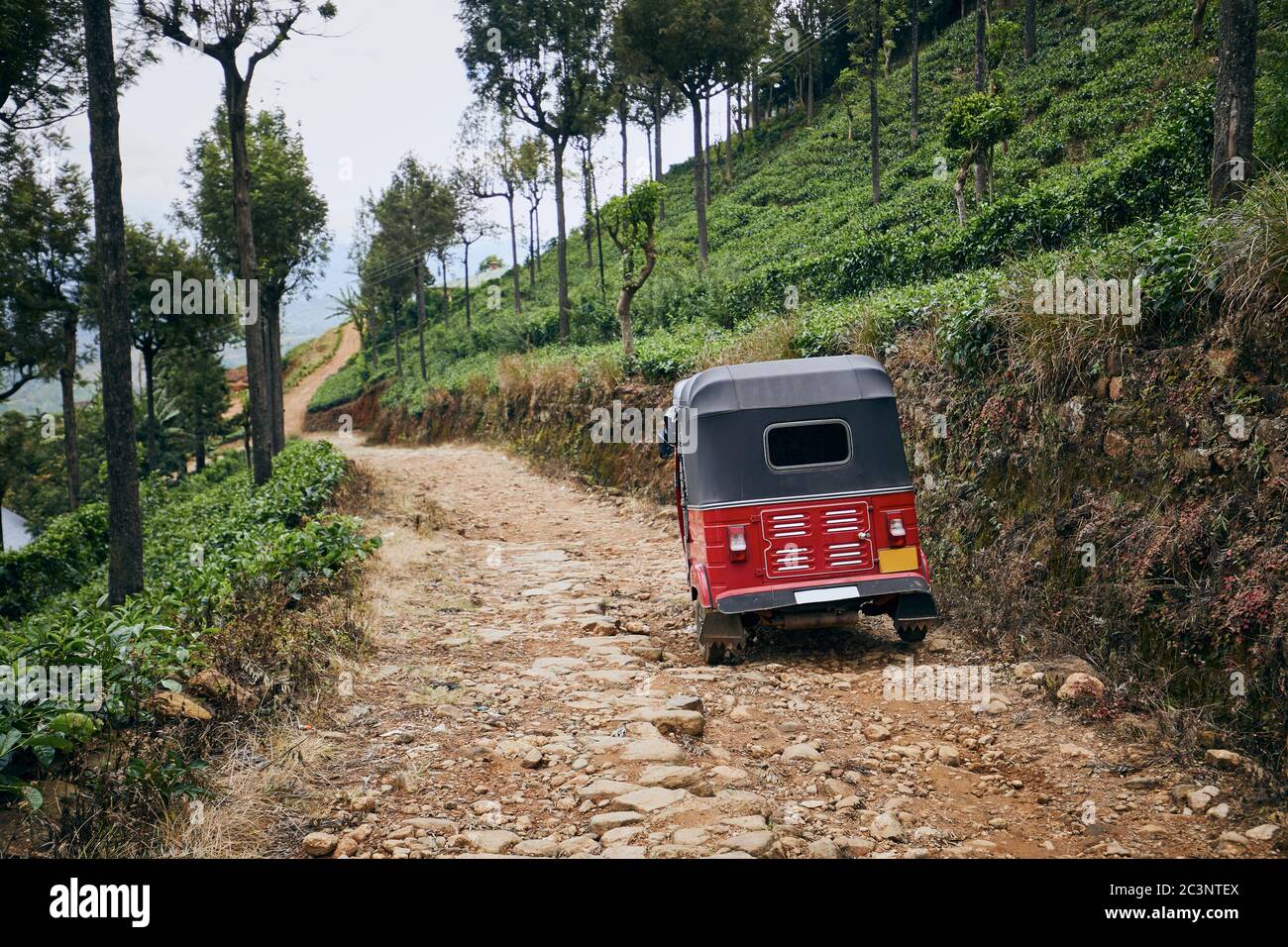 Tuk rouge sur la route de terre au milieu de la plantation de thé, Sri Lanka Banque D'Images