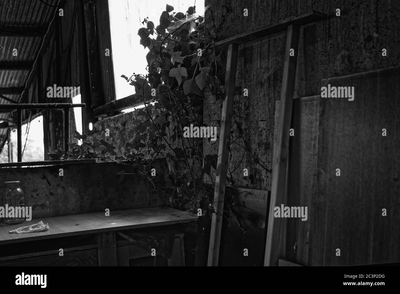 Fabrication abandonnée bâtiment avec de l'ivy croissant sur le mur Banque D'Images