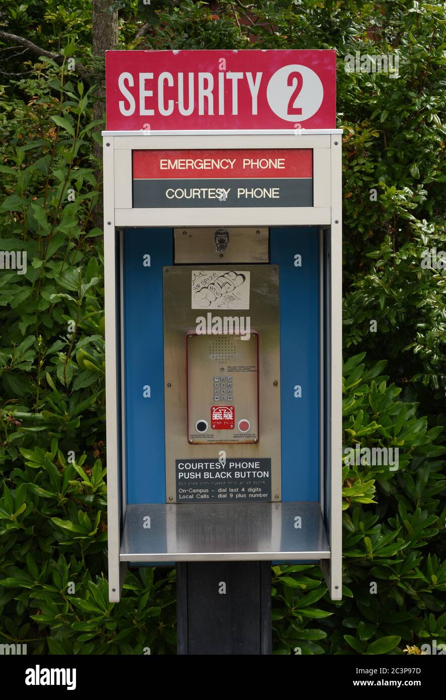 Vue sur un téléphone d'urgence et de courtoisie pour la sécurité sur le campus de l'Université de Victoria (UVic) à Victoria, British Coumbia, Canada, sur Vancouver I Banque D'Images