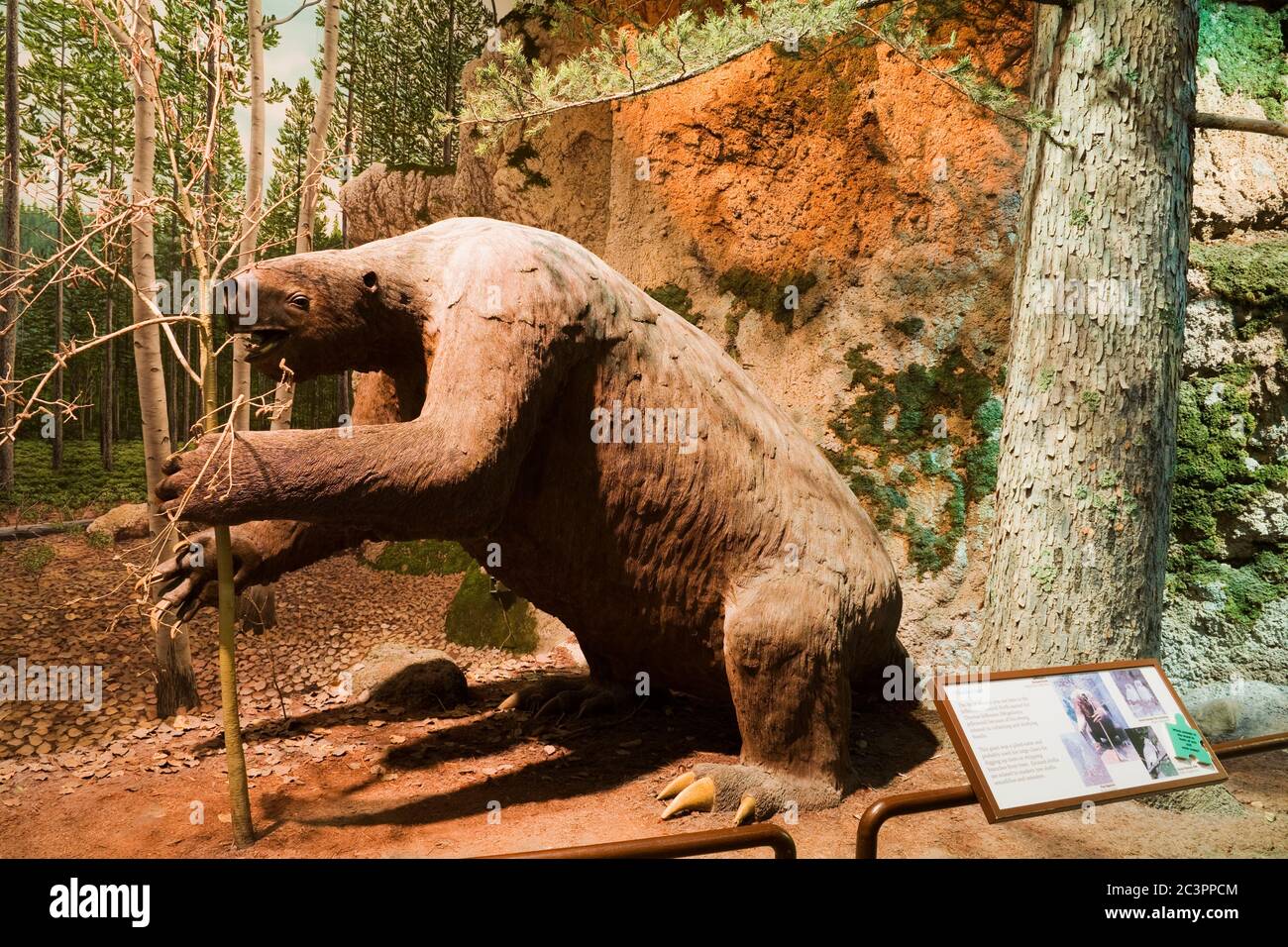 Terrain au musée d'histoire naturelle et des sciences, Cincinnati Museum Center à Union terminal, Cincinnati, Ohio, États-Unis Banque D'Images