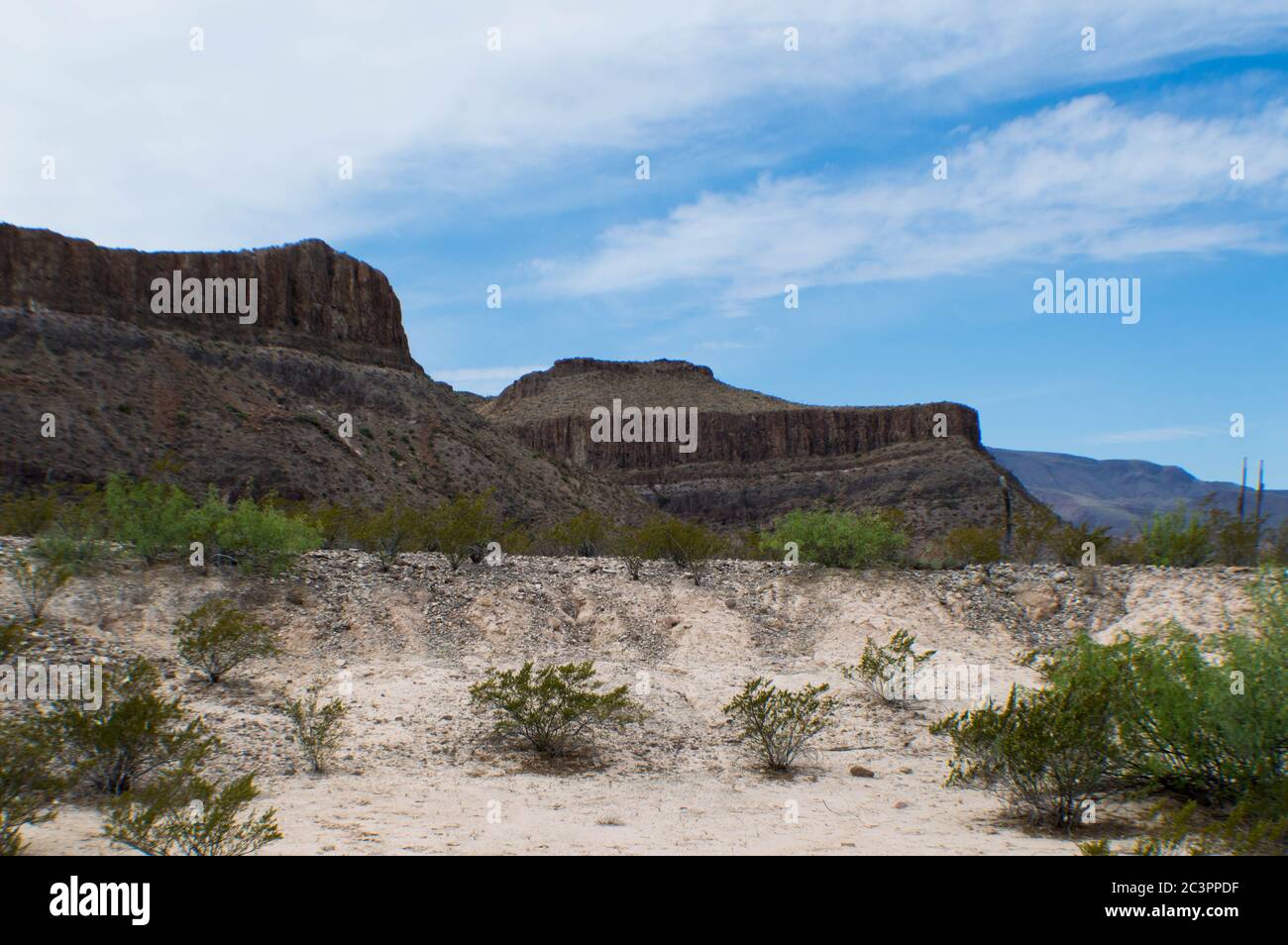 vues panoramiques dans la région de big bend du texas le plus au sud Banque D'Images