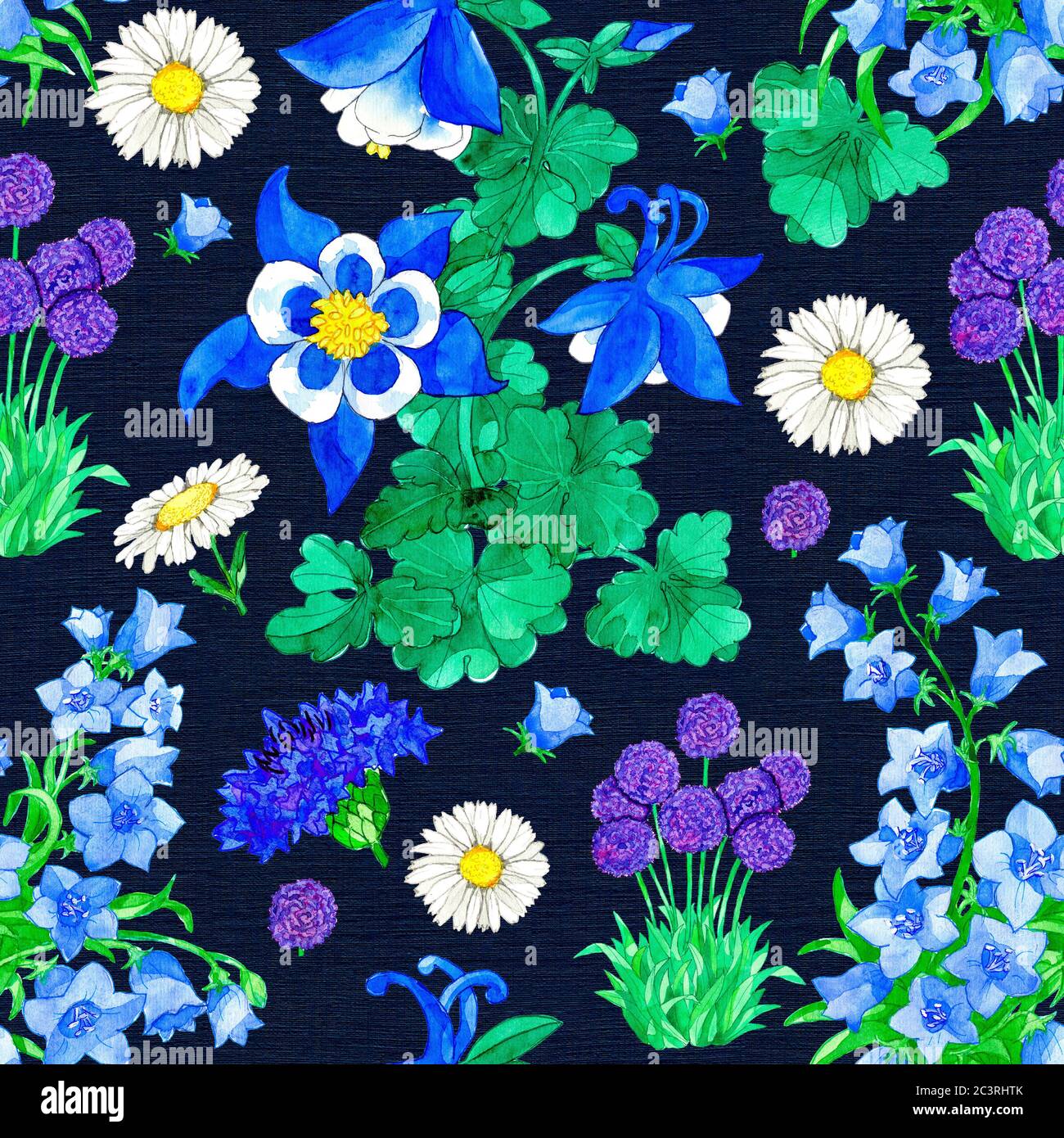 Motif sans couture avec Aquilegia, Allium, Bellflower et Cornflower sur fond bleu. Illustration botanique aquarelle avec éléments floraux pour le texte Banque D'Images