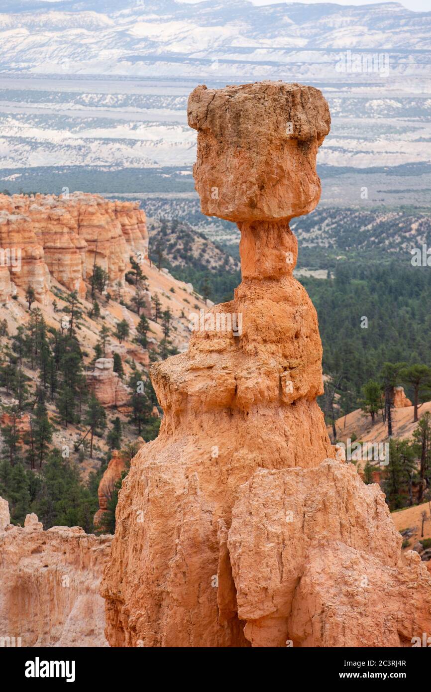 Vue sur la formation de Thor's Hammer hoodoo dans le parc national de Bryce Canyon Banque D'Images