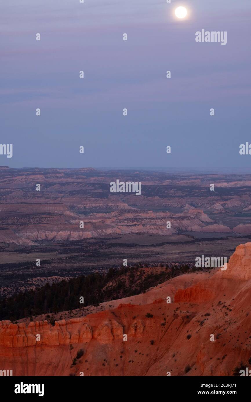 Vue sur le crépuscule avec lumière rose au coucher du soleil dans le parc national de Bryce Canyon, Utah Banque D'Images