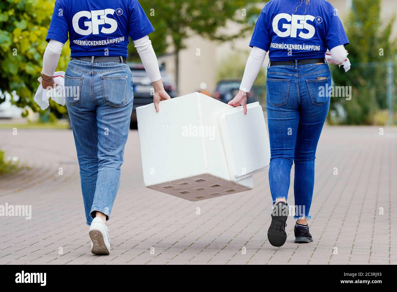 Ludwigshafen, Allemagne. 09e juin 2020. Les femmes employées de la Société pour la promotion du contrôle des moustiques (GFS) marchent le long d'un trottoir dans le district de Melm avec un contenant dans lequel les moustiques tigres mâles stériles sont gardés. Le moustique tigre asiatique se propage à Ludwigshafen-Melm depuis au moins 2019. L'année dernière, il y a eu une nuisance locale considérable de ce moustique diurne agressif, ce qui explique pourquoi la ville a ordonné des mesures de contrôle. Credit: Uwe Anspach/dpa/Alamy Live News Banque D'Images