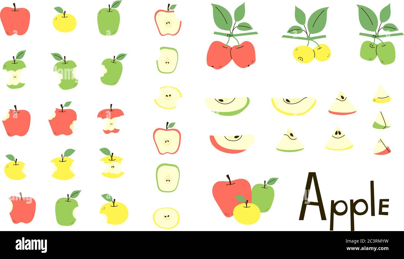Pomme entière, coupée, mordue, cœur de pomme. Demi-pomme et tranches. Branches de pommier avec feuilles. Ensemble d'objets vectoriels en rouge, jaune et vert Illustration de Vecteur