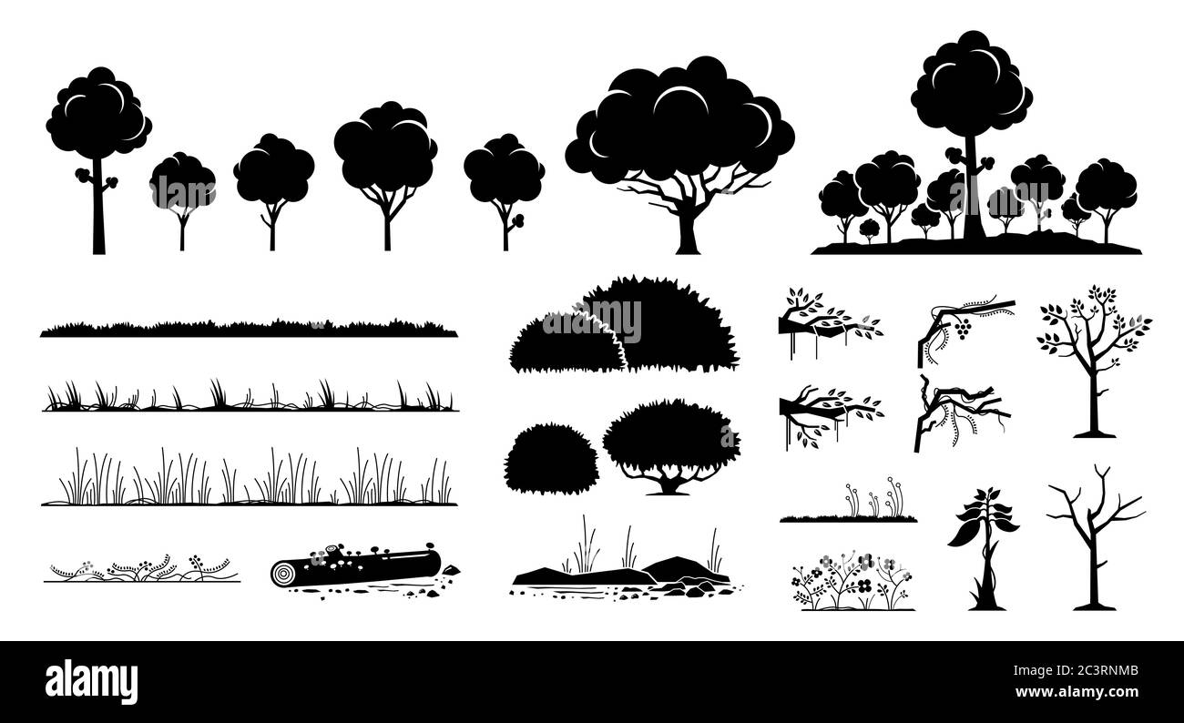 Motif graphique représentant des arbres, des plantes et des graminées. Ensemble d'arbres, de feuillages, d'herbe, de forêt, de fleurs, de buissons, de branches et de vignes en silhouette noire. Illustration de Vecteur