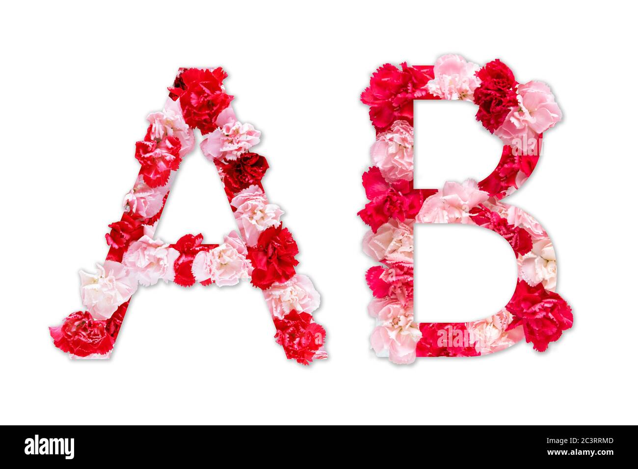 Police de fleurs alphabet A B ensemble (collection A-Z), fait de vraies fleurs de Carnation rose, rouge avec papier coupé en forme de lettre majuscule. Police florale Banque D'Images