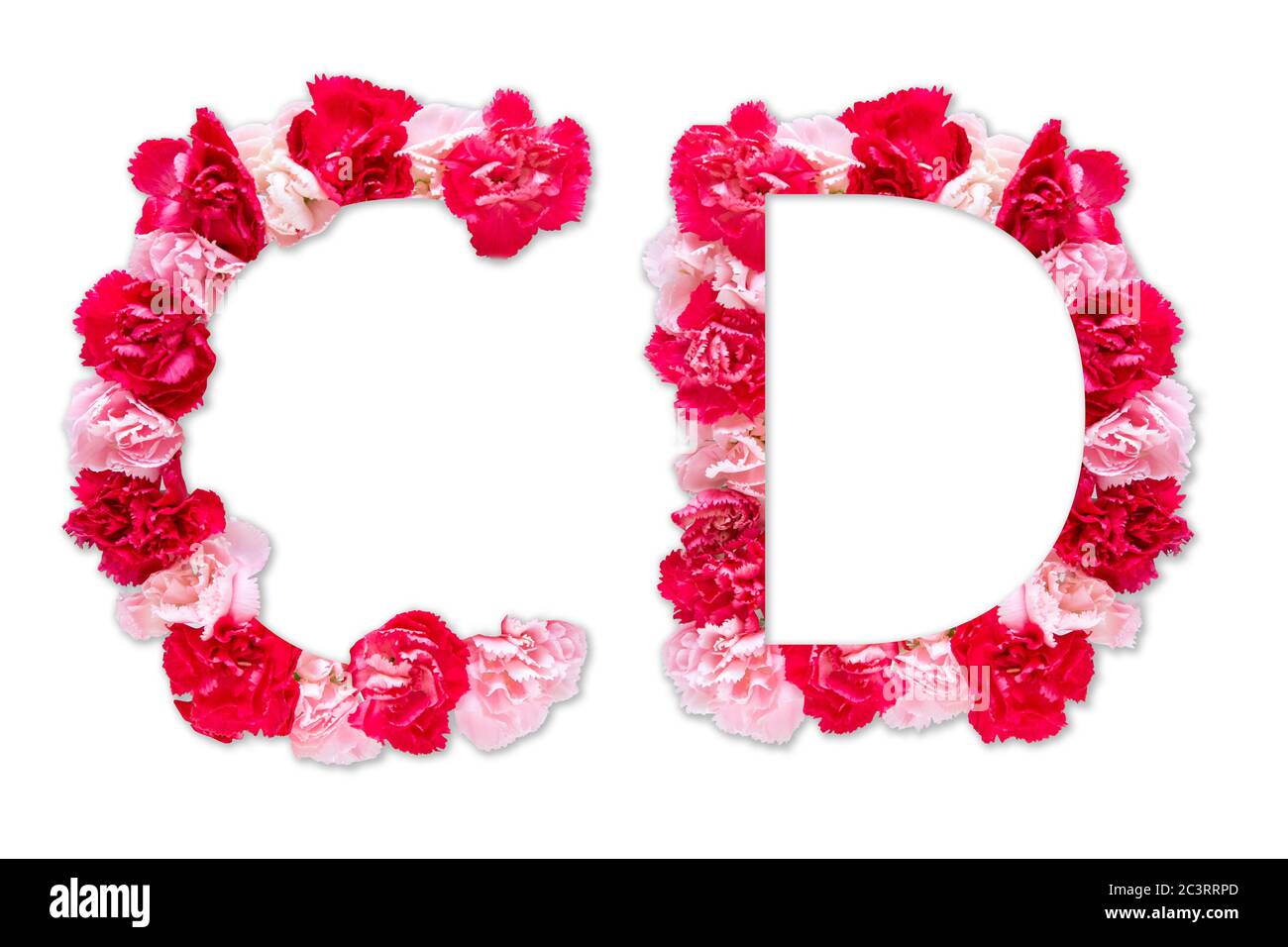 Police de fleurs alphabet C D ensemble (collection A-Z), fait de vraies fleurs de Carnation rose, rouge avec papier coupé en forme de lettre majuscule. Police florale Banque D'Images