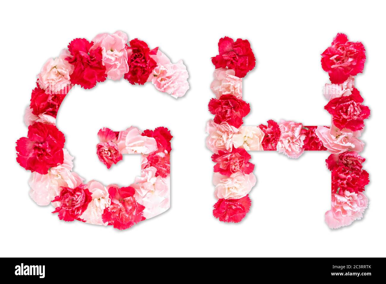 Police de fleurs alphabet G H ensemble (collection A-Z), fait de vraies fleurs de Carnation rose, rouge avec papier coupé en forme de lettre majuscule. Police florale Banque D'Images