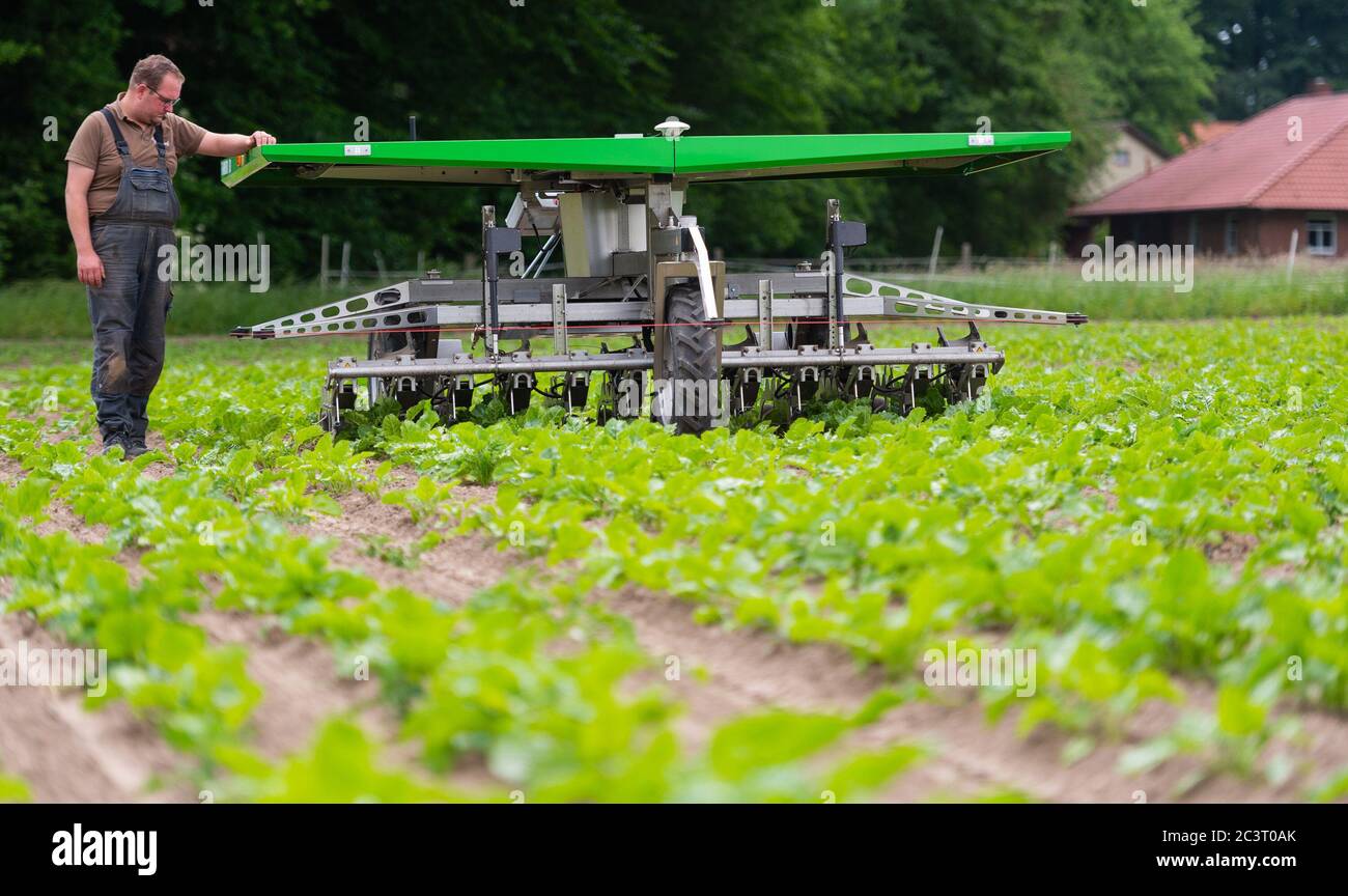 Oldendorf, Allemagne. 09e juin 2020. Sven Dittmer, un agriculteur employé des fermes biologiques d'Oldendorf, vérifie le travail du robot dans un champ de betteraves. (À dpa 'le robot sur la ferme biologique - en cas de problèmes il écrit un SMS') Credit: Philipp Schulze/dpa/Alay Live News Banque D'Images