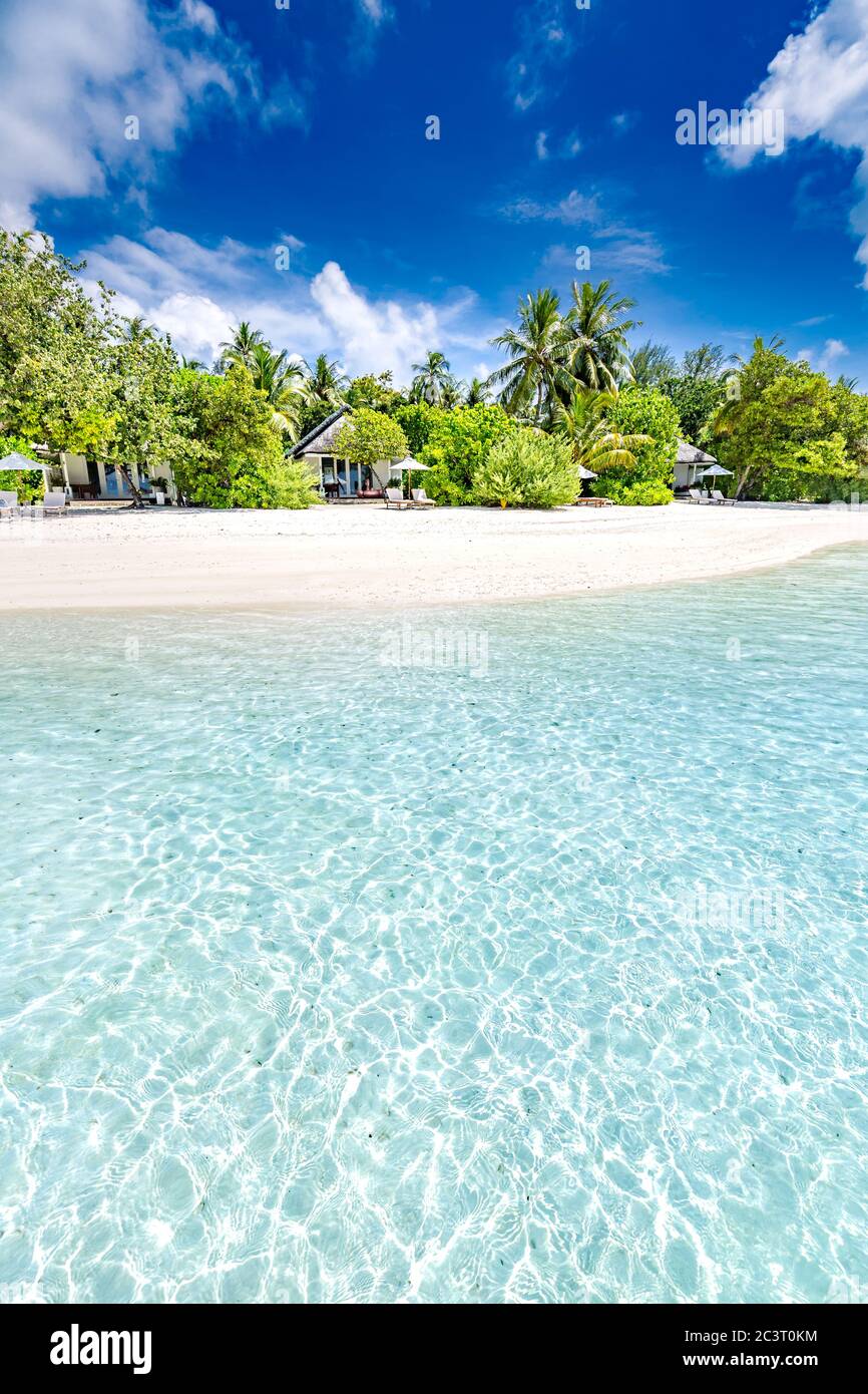 Magnifique plage tropicale bannière paysage. Concept de fond panoramique large de palmiers à sable blanc et coco. Une plage incroyable pour des vacances d'été Banque D'Images