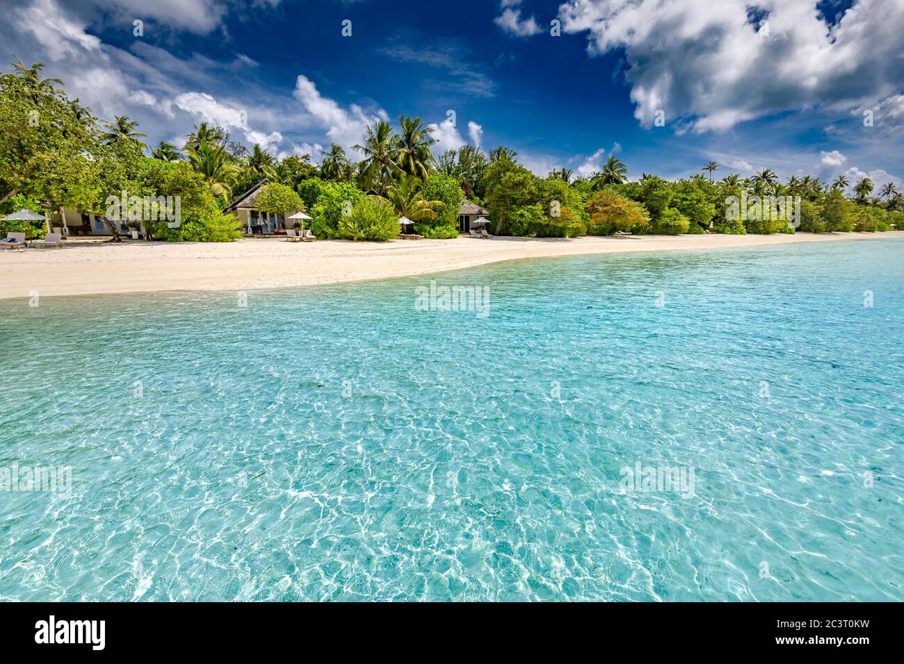 Magnifique plage tropicale bannière paysage. Concept de fond panoramique large de palmiers à sable blanc et coco. Une plage incroyable pour des vacances d'été Banque D'Images