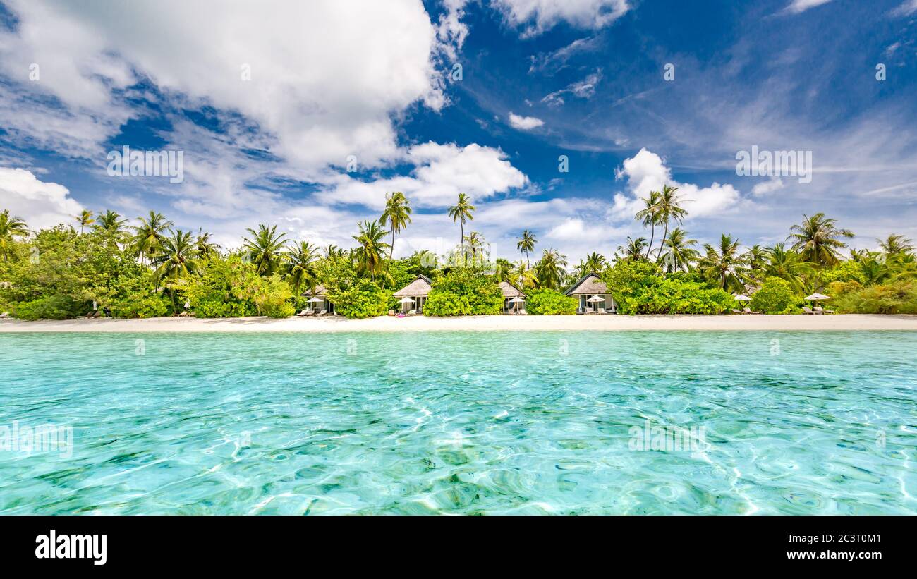 Magnifique plage tropicale bannière paysage. Concept de fond panoramique large de palmiers à sable blanc et coco. Une plage incroyable pour des vacances d'été Banque D'Images