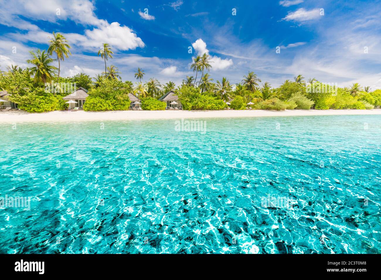 Magnifique plage tropicale bannière paysage. Concept de fond panoramique large de palmiers à sable blanc et coco. Une plage incroyable pour des vacances d'été Banque D'Images