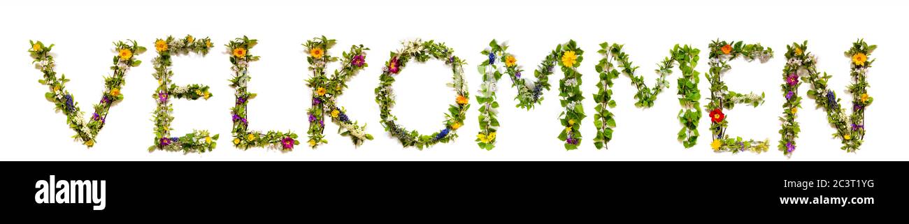 Fleur et Blossom lettre de construction mot Velkommen signifie Bienvenue Banque D'Images
