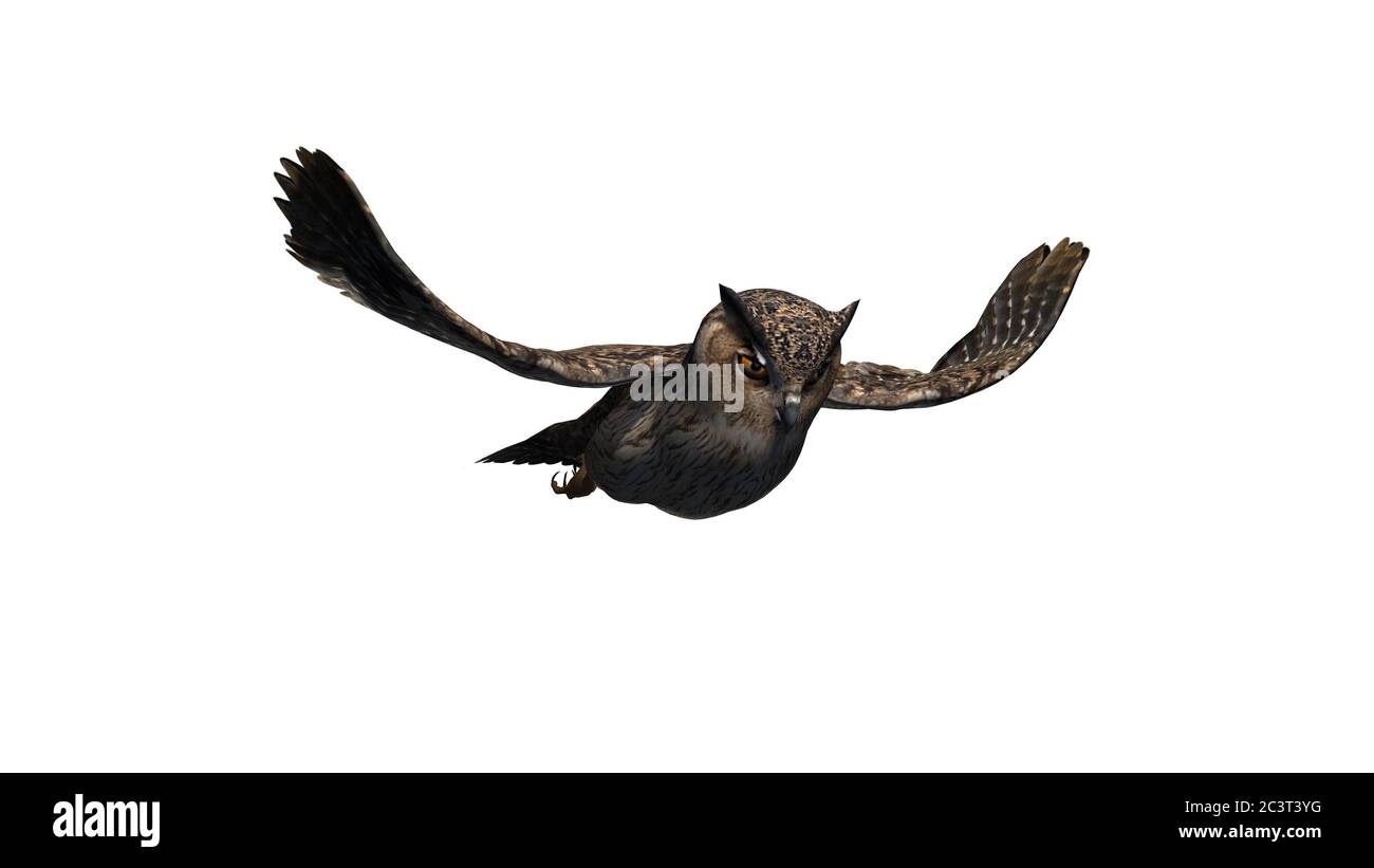 Owl Flying - isolé sur fond blanc Banque D'Images