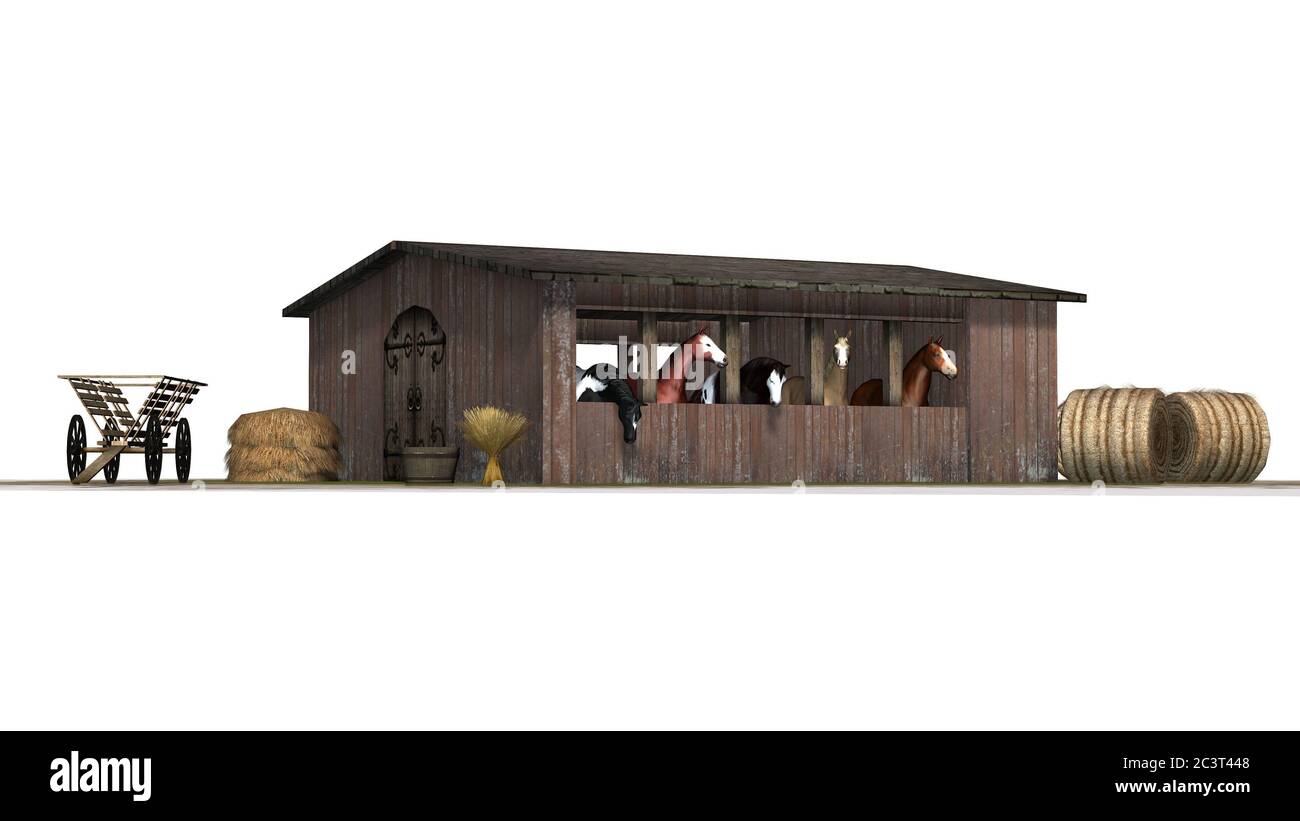 chevaux dans la grange - isolé sur fond blanc Banque D'Images