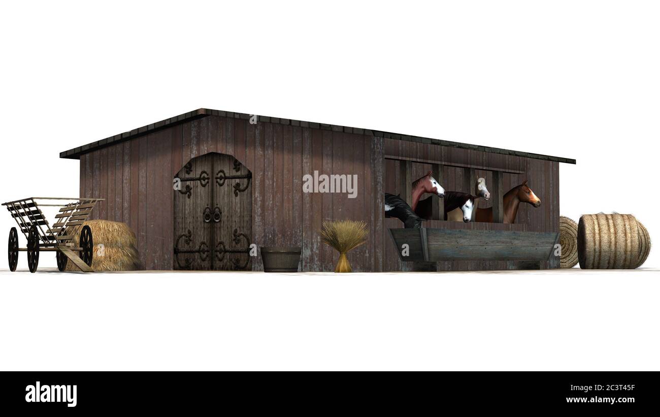 chevaux dans la grange - isolé sur fond blanc Banque D'Images
