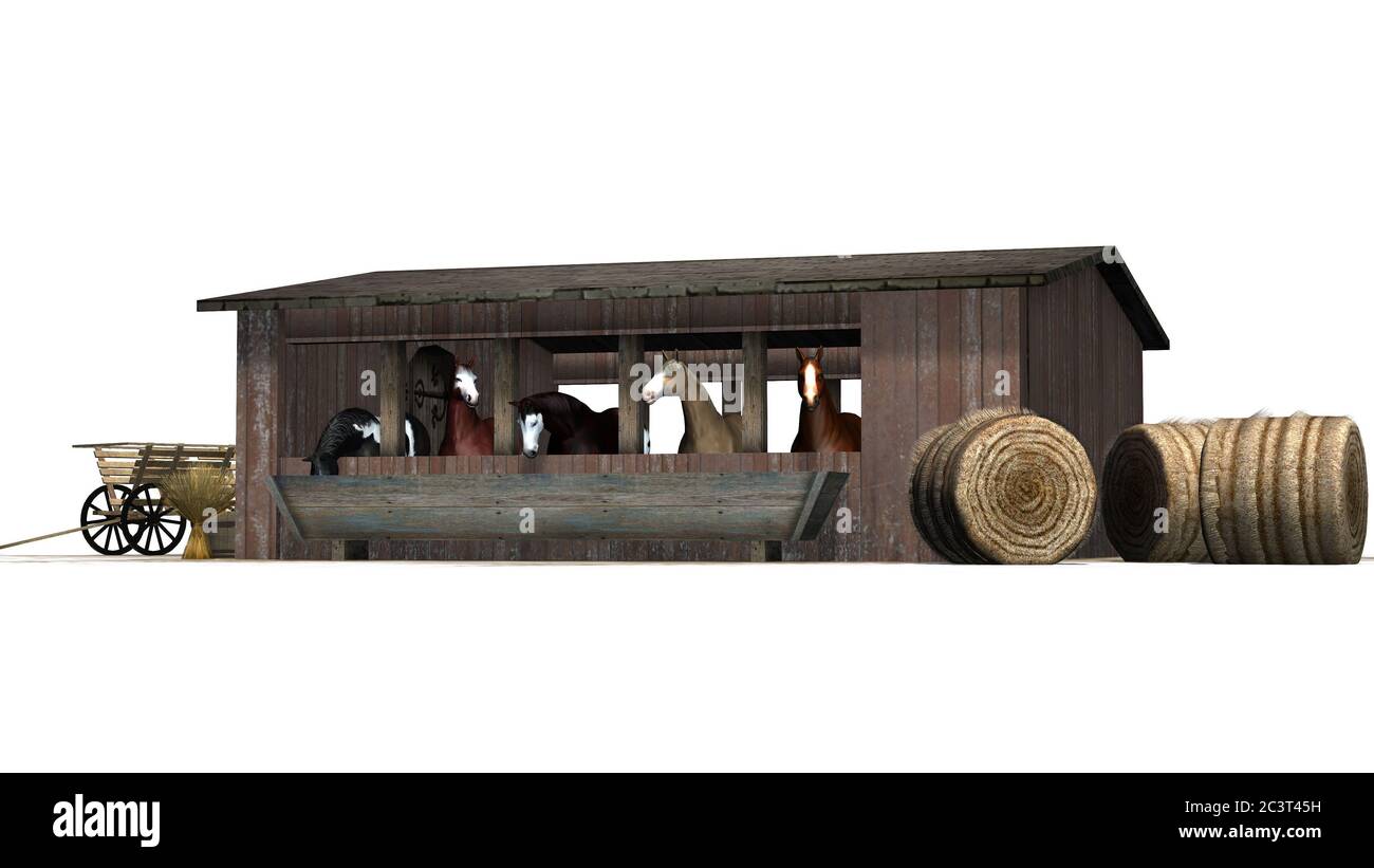 chevaux dans la grange - isolé sur fond blanc Banque D'Images