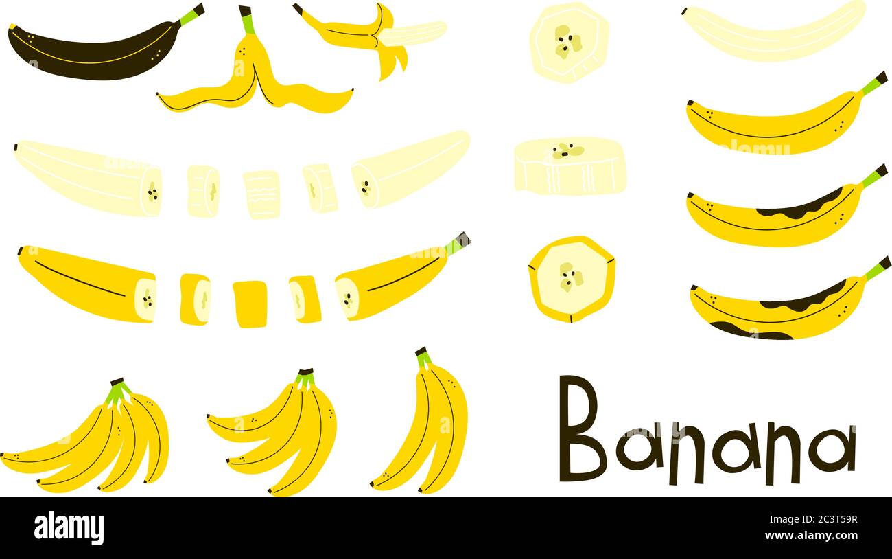 Banane entière, pelée, coupée. Peau de banane. Banane brune pourrie. Tranches de banane. Bouquet de bananes. Ensemble d'objets vectoriels modernes isolés sur blanc Illustration de Vecteur