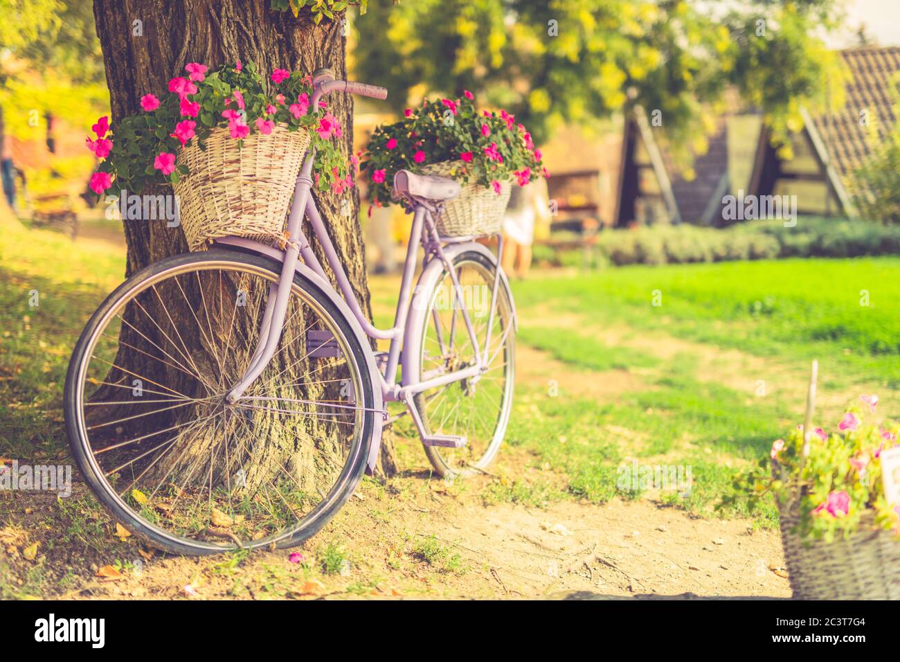 Magnifique vélo avec fleurs dans un panier se dresse sur une avenue dans un parc au coucher du soleil. Décoration de jardin vintage Banque D'Images