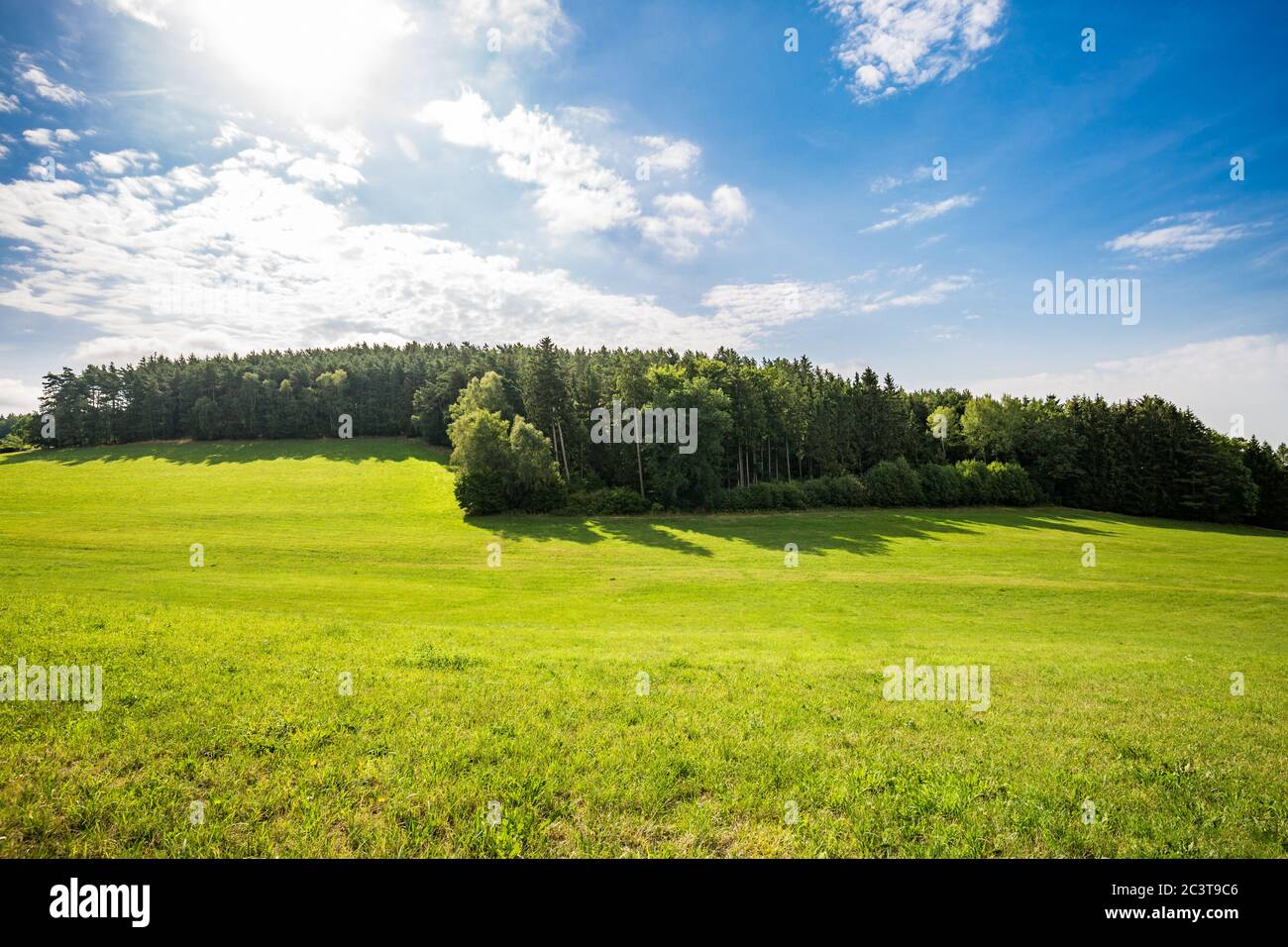 Vue panoramique sur les collines vallonnées idylliques avec des prairies fleuries et un arrière-plan de montagne alpine. Paysage d'été de printemps vert Banque D'Images