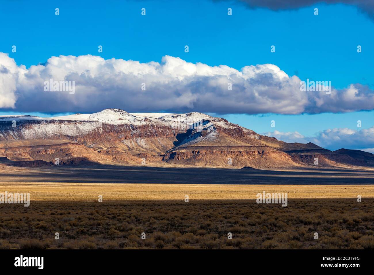 Cette vue est une vue de la région d'étude de la nature sauvage de Palisade Mesa dans le comté de Nye, Nevada, États-Unis avec une accumulation de neige. Banque D'Images