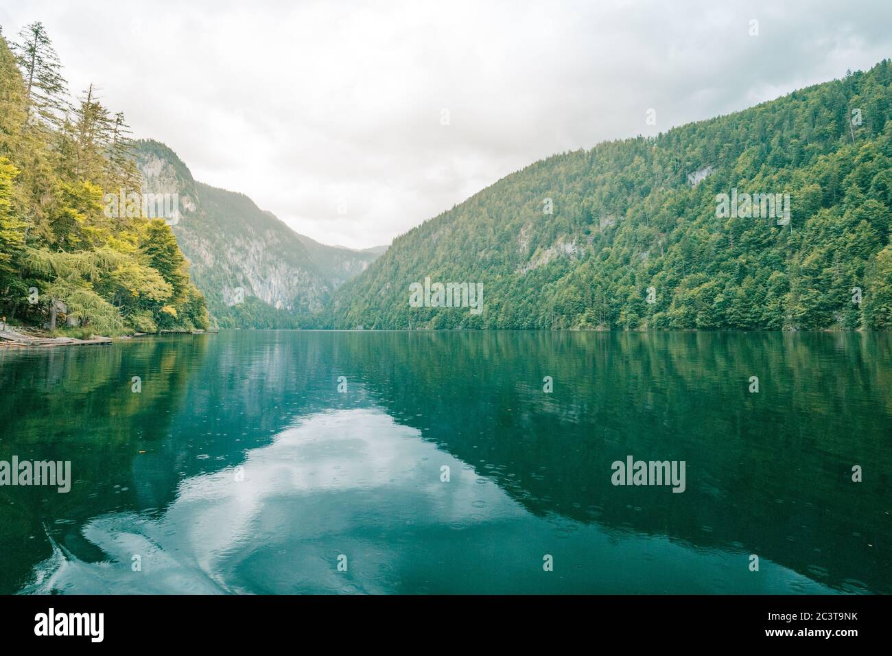 Panorama sur la montagne dans une matinée brumeuse avec forêt de pins verts et reflets du lac. Paysage vert printemps-été paisible Banque D'Images