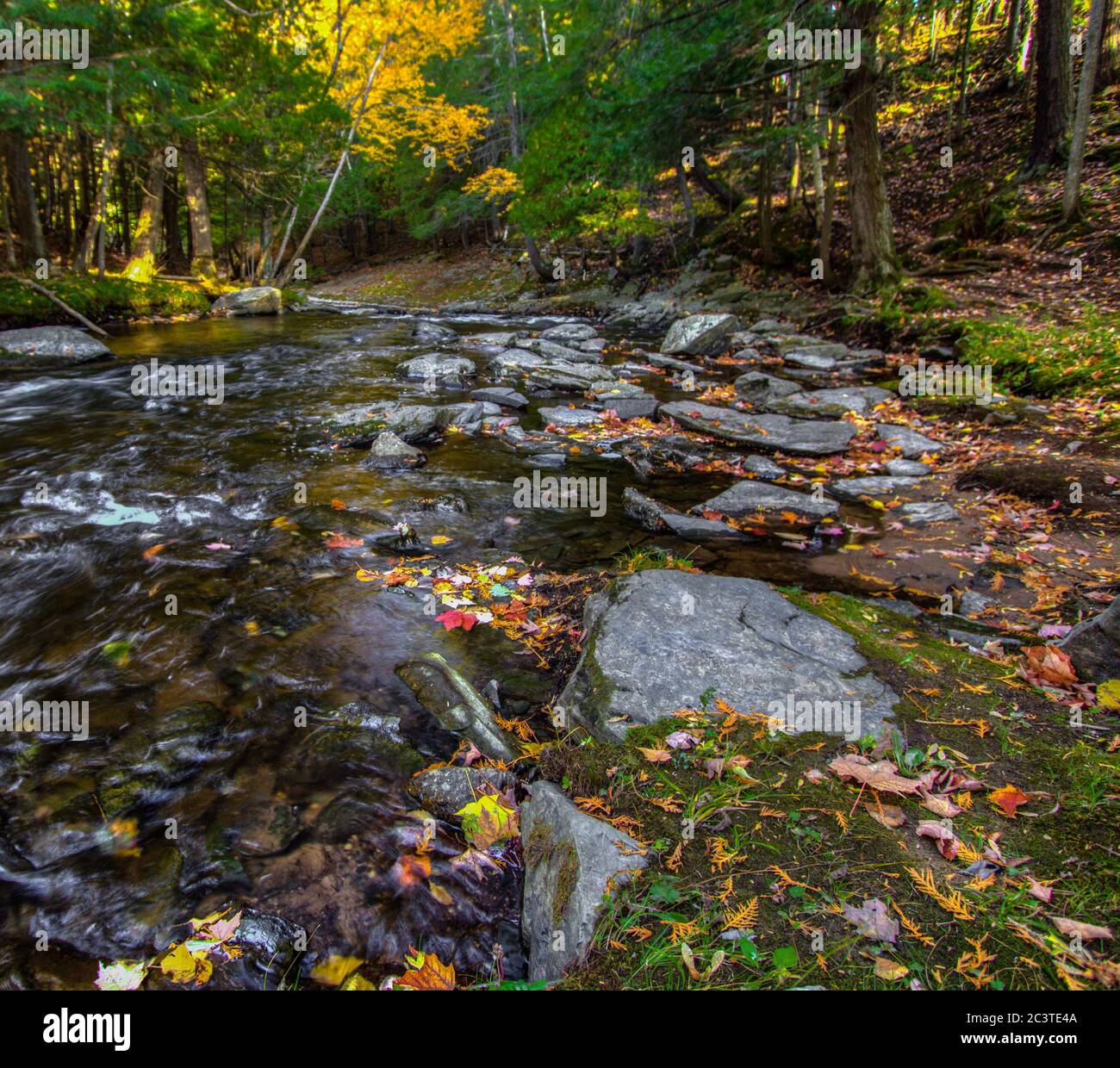 Paysage de la rivière d'automne. Rivière avec feuilles d'automne sur la rive coule à travers la forêt luxuriante de la nature sauvage du nord du Michigan dans le comté de Baraga. Banque D'Images