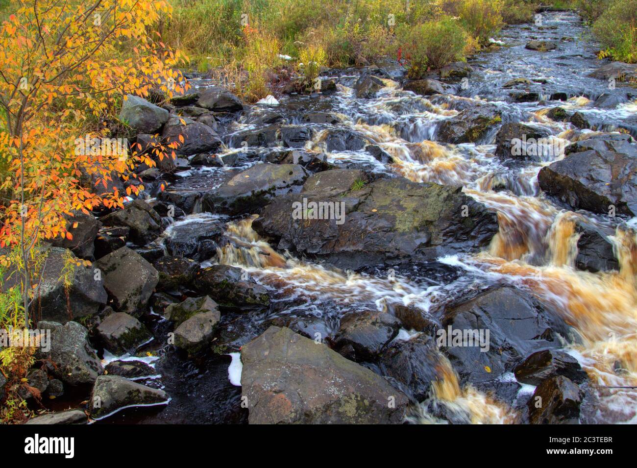 Chute d'eau d'automne au parc en bord de route de la péninsule supérieure du Michigan au début d'octobre à Tioga Falls. Banque D'Images