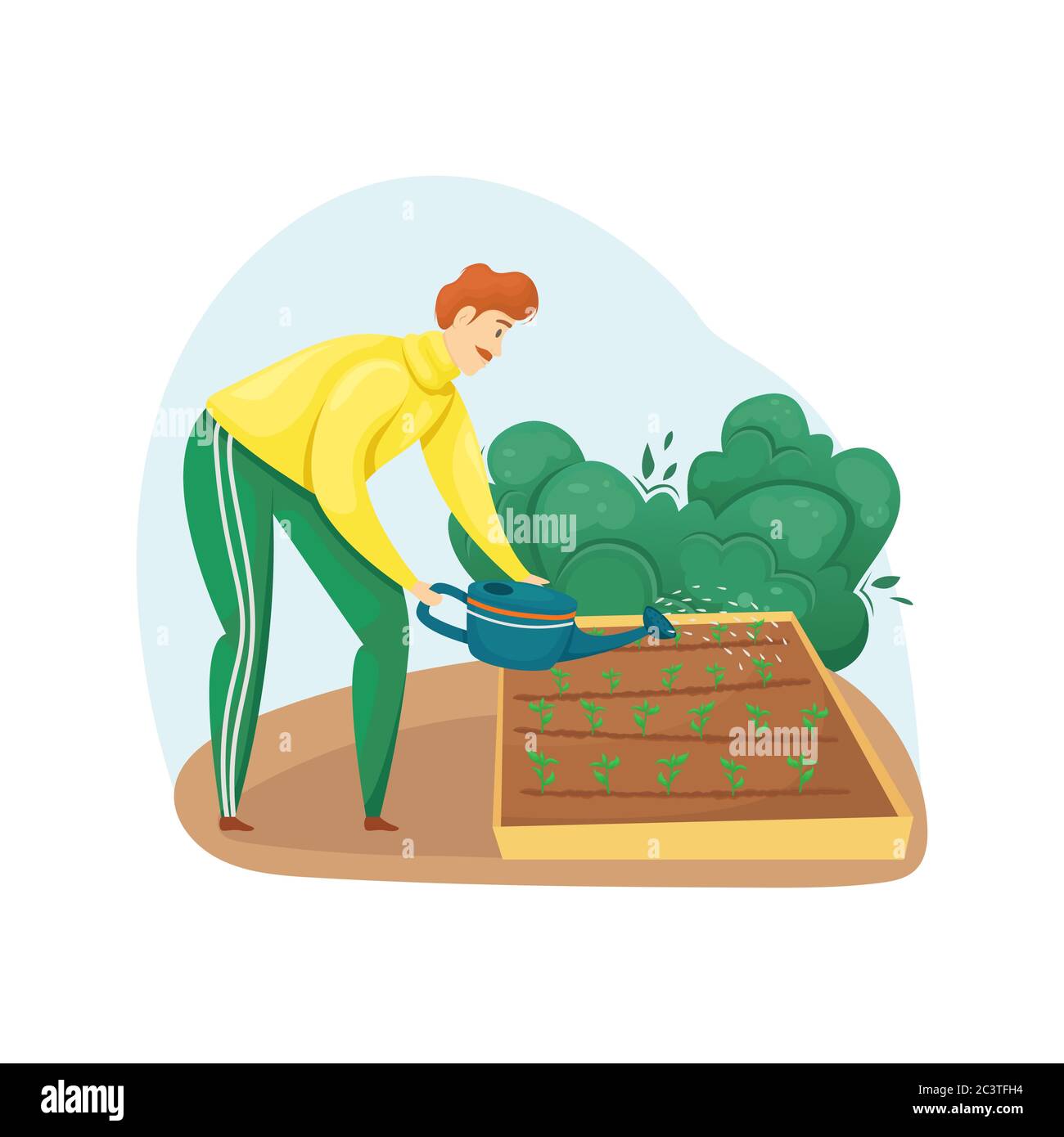 Un homme arrose les plantations sur les lits à partir d'un arrosoir. Plantation, légumes en pleine croissance. Le soin du jardin. Illustration de Vecteur