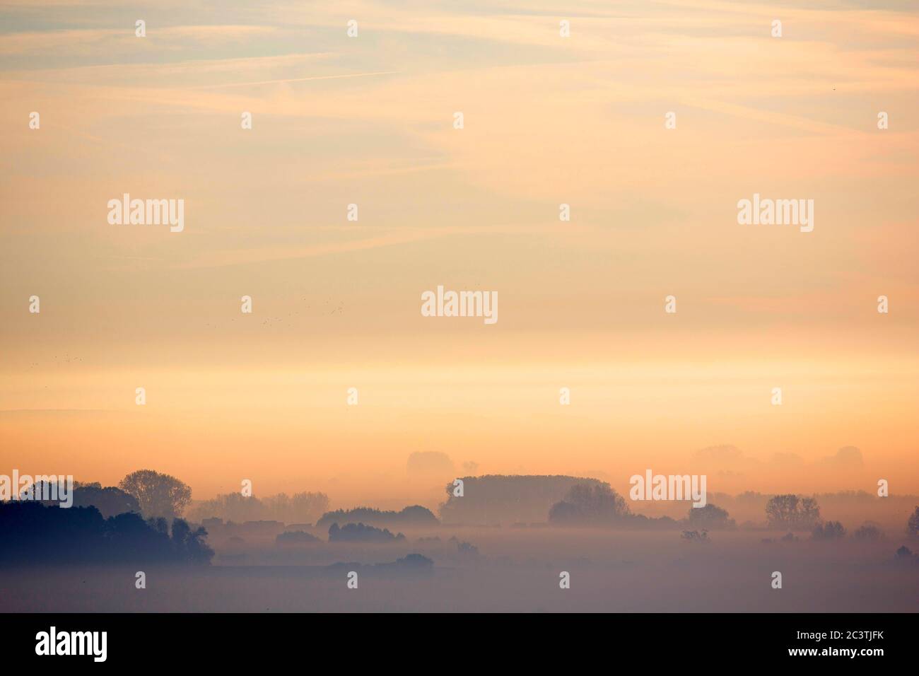 Paysage en brume matinale automnale, Belgique, Flandre orientale, Vlaamse Ardennen Banque D'Images