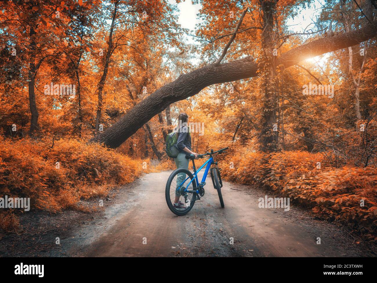 Femme à vélo en forêt en automne au coucher du soleil Banque D'Images