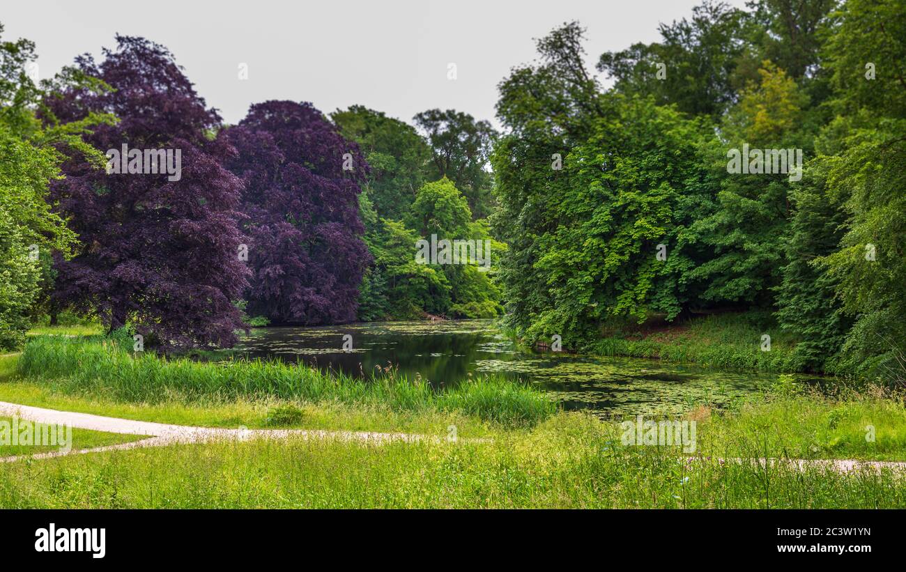 Parc public travail anglais le long de la rivière IJssel à Zwolle. Le parc est un monument naturel en raison de son histoire ancienne de fortification Banque D'Images