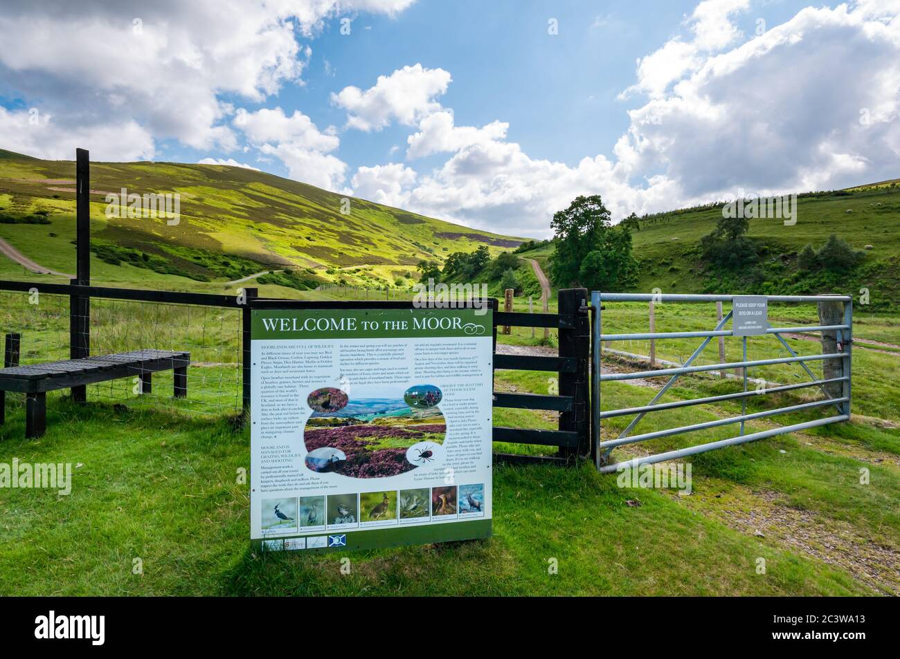 Bienvenue au panneau d'humeur pour les marcheurs et la caille en bois Lammermuir Hills, East Lothian, Écosse, Royaume-Uni Banque D'Images