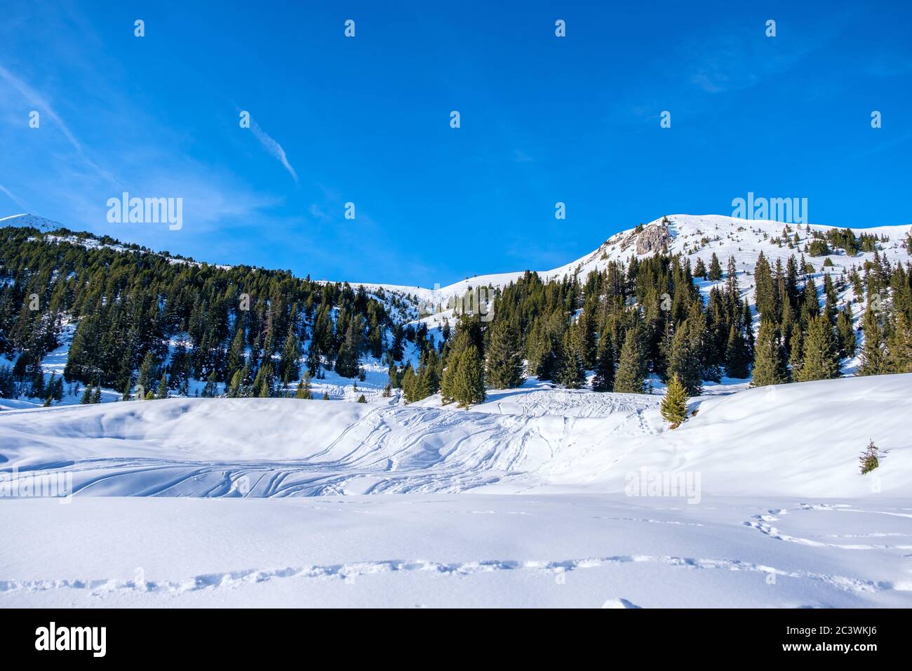 Paysage d'hiver dans les montagnes Banque D'Images