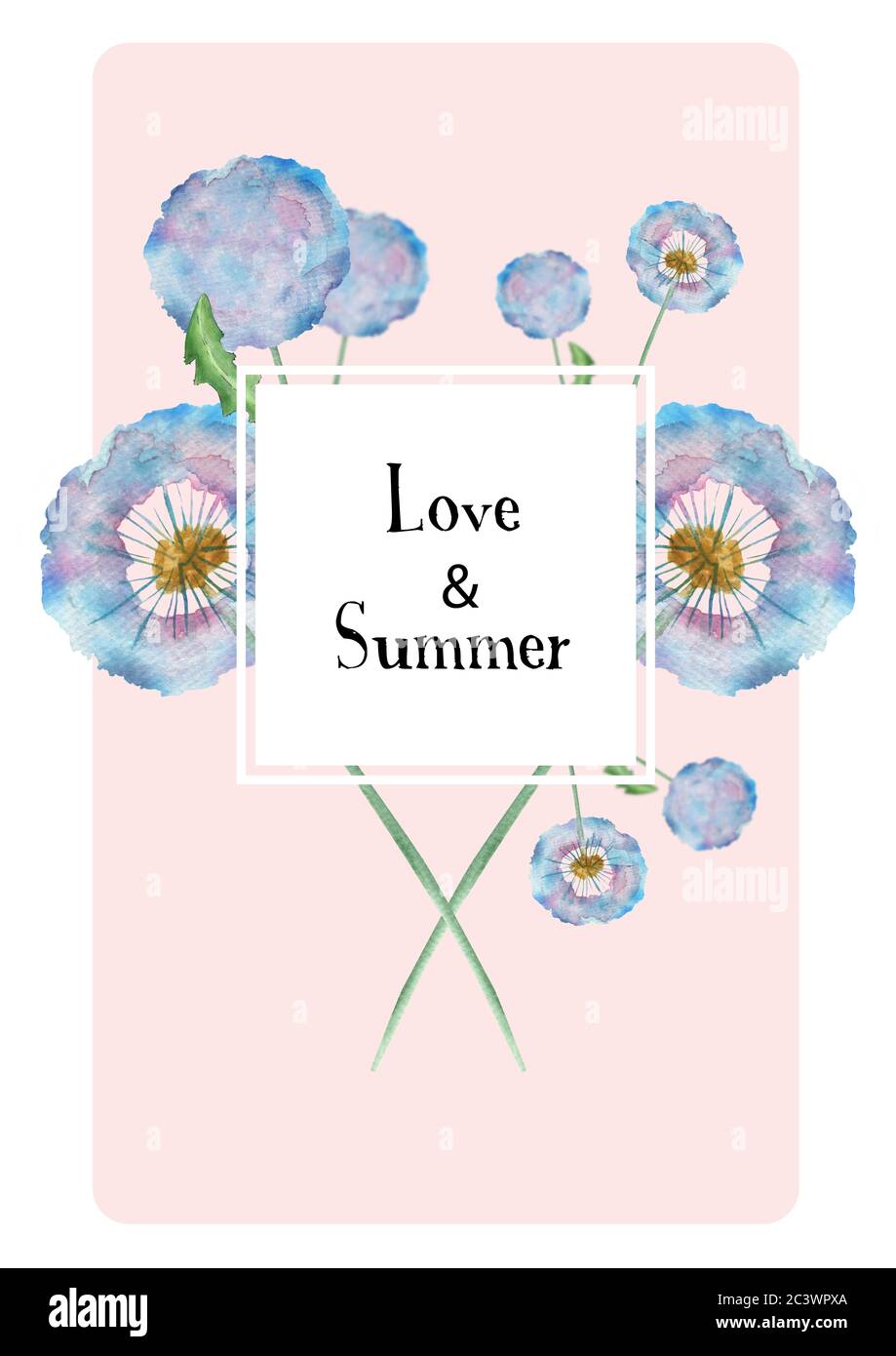Modele De Carte Postale Motif D Invitation En Ete Avec Des Pissenlits Moelleux Sur Un Fond Rose Delicat Espace Pour Le Texte L Amour Du Texte Et Su Photo Stock Alamy
