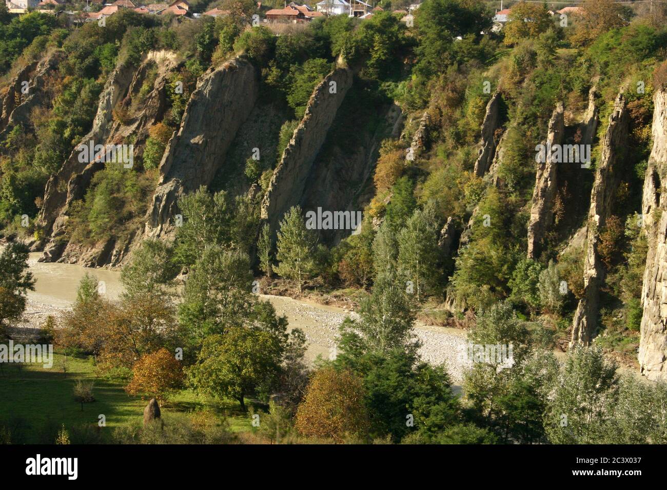 Côté de falaise érodé dans le canyon de la rivière Putna, comté de Vrancea, Roumanie. Banque D'Images