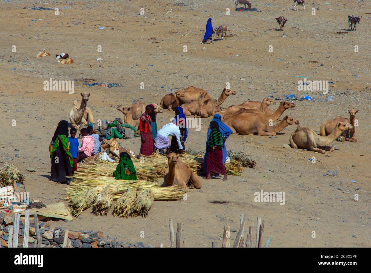 Hamedela, Ethiopie - novembre 2018: Marché de village avec des marchandises et des chameaux dans la région d'Afar, Ethiopie Banque D'Images