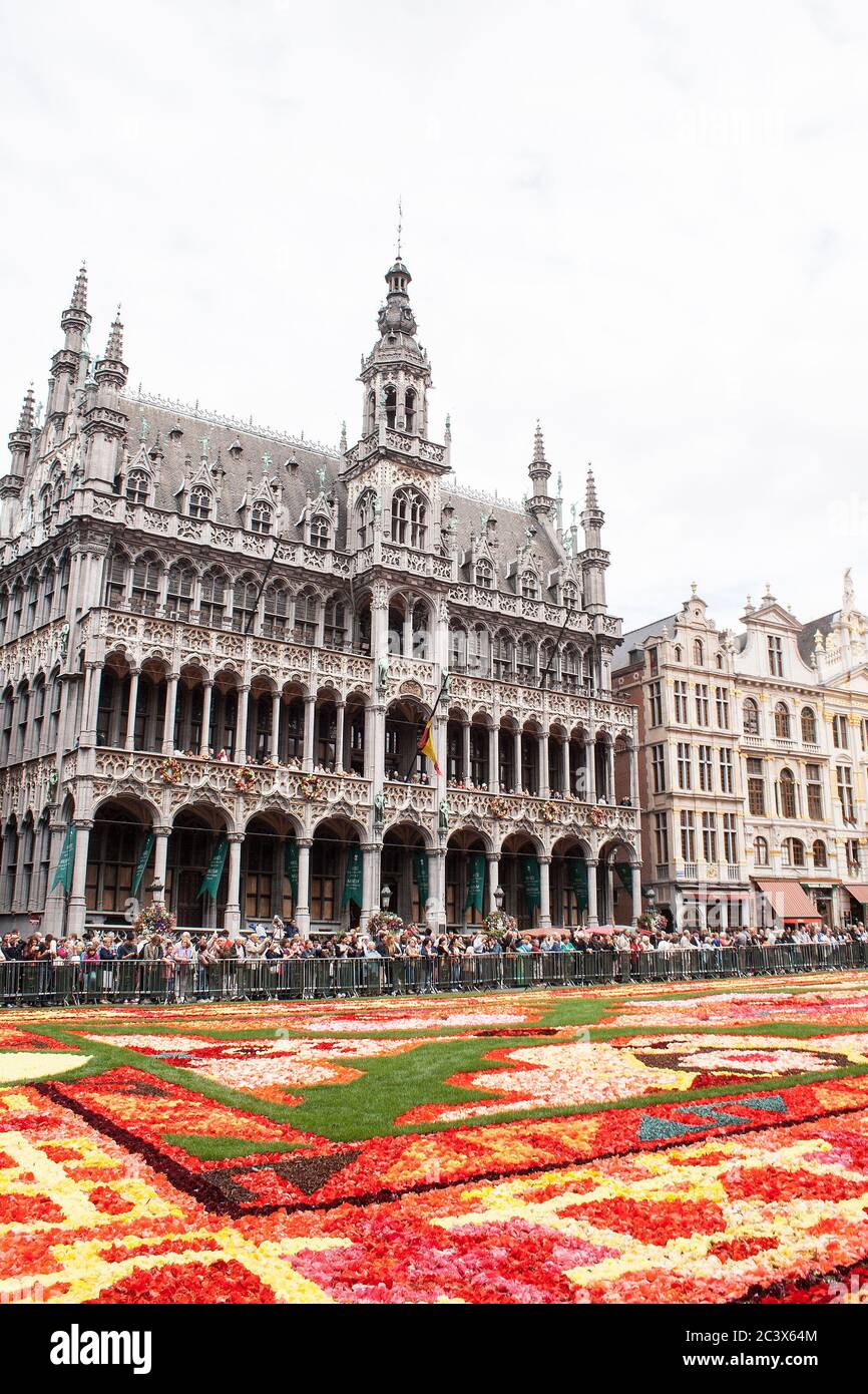 Moquette fleurie à la Gran place de Bruxelles Banque D'Images