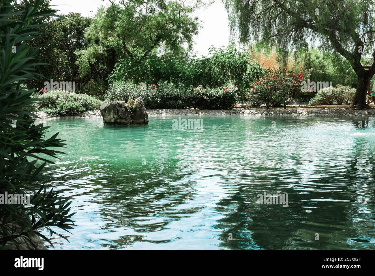 Magnifique paysage avec un étang entouré d'arbres verts dans un parc à Marbella, Espagne. Réflexion dans l'eau propre par temps ensoleillé. Ambiance paisible Banque D'Images