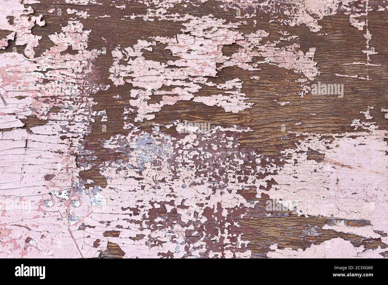 Texture de la peinture écaillée rose sur une surface en bois brun. Arrière-plan, fond d'écran, gros plan, vue du dessus Banque D'Images