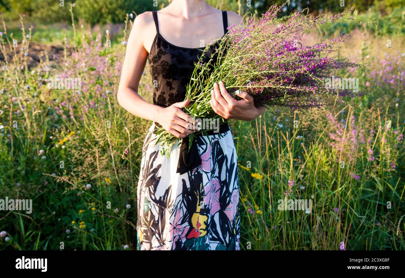 Jeune femme debout dans le champ vers le soleil, avec un bouquet de fleurs violettes. Banque D'Images