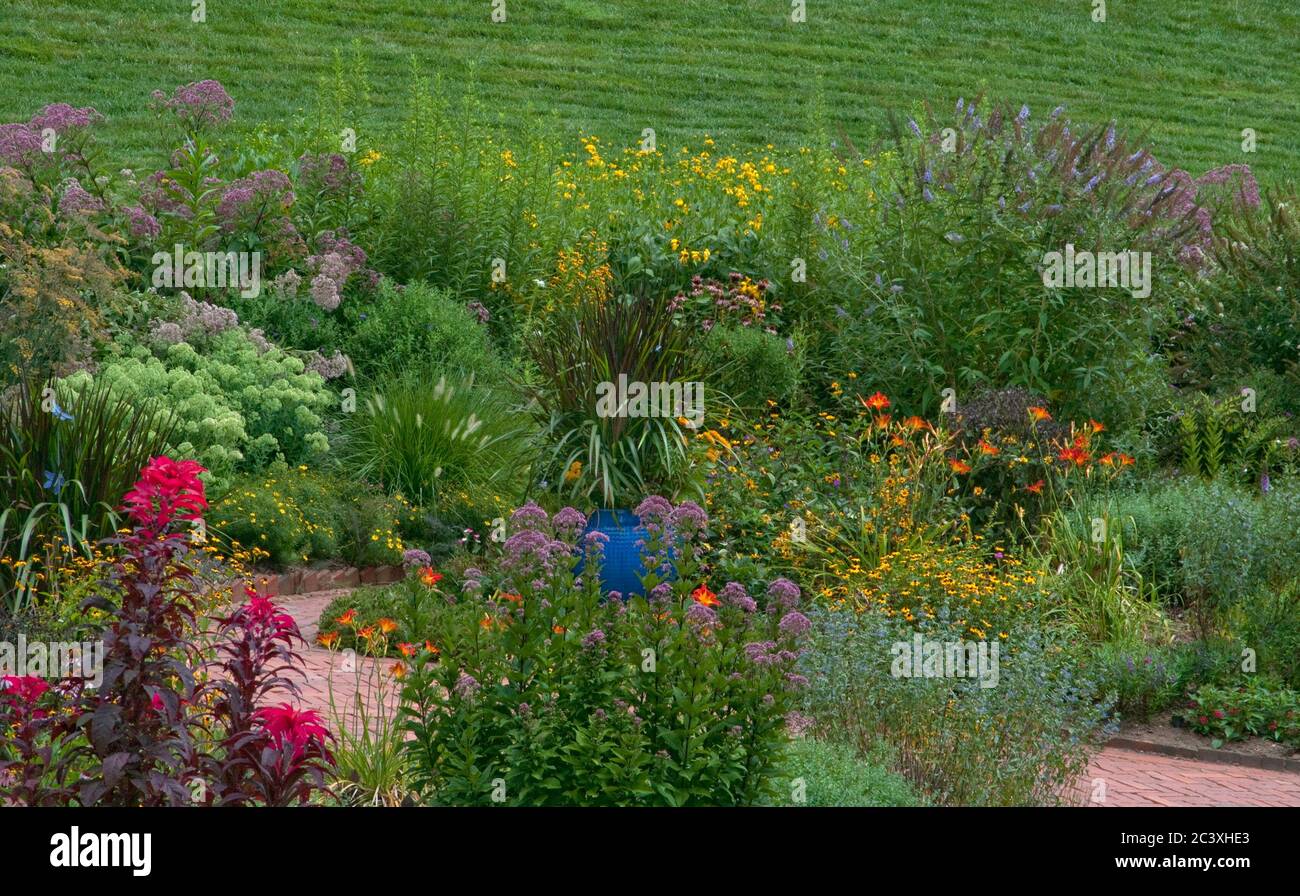 Jardin d'automne avec Eupatorium, Rudbeckia, Caryopteris, Banque D'Images