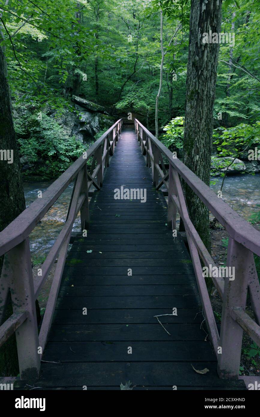 Une passerelle étroite et lisse traverse une rivière dans la forêt riveraine des montagnes. Banque D'Images