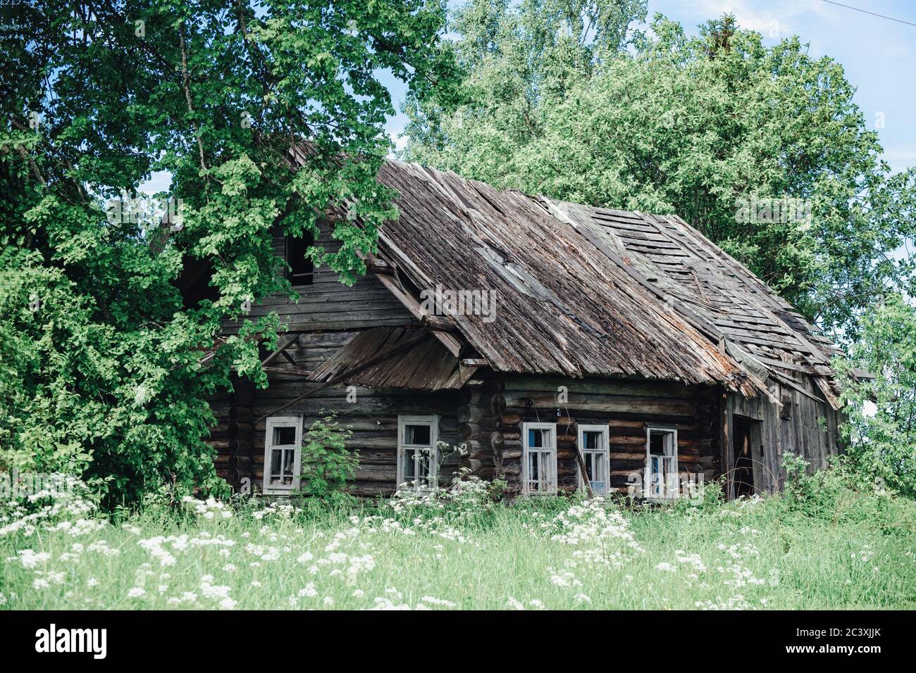 Ancienne maison rustique en bois abandonnée, en chute libre, parmi les arbres, un jour d'été et de l'herbe autour Banque D'Images