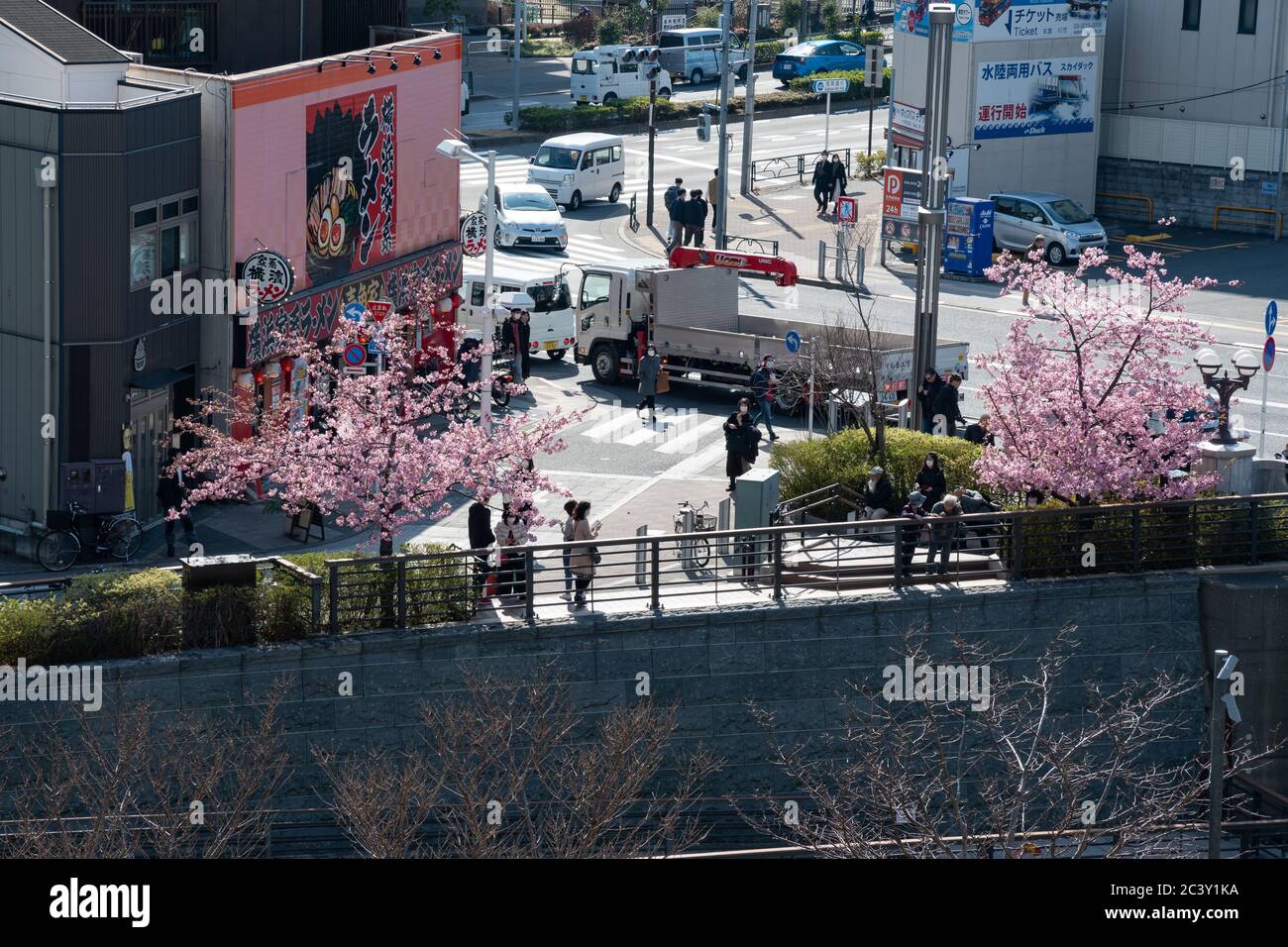 Les gens qui marchent dans une rue à côté d'une rivière avec une prune rose en fleur, un restaurant et un trafic calme. Banque D'Images